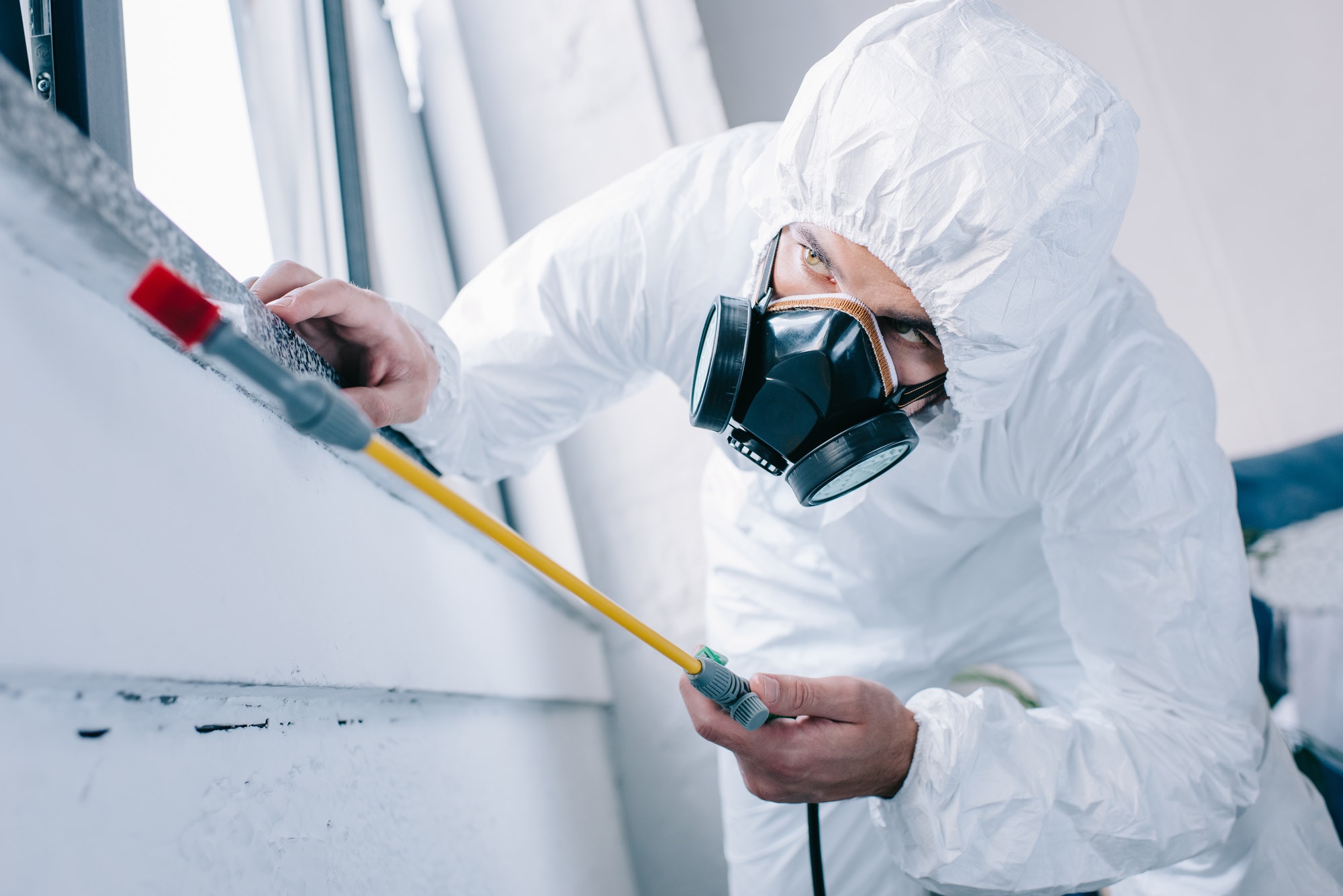 Pest Control & Cleaning Services