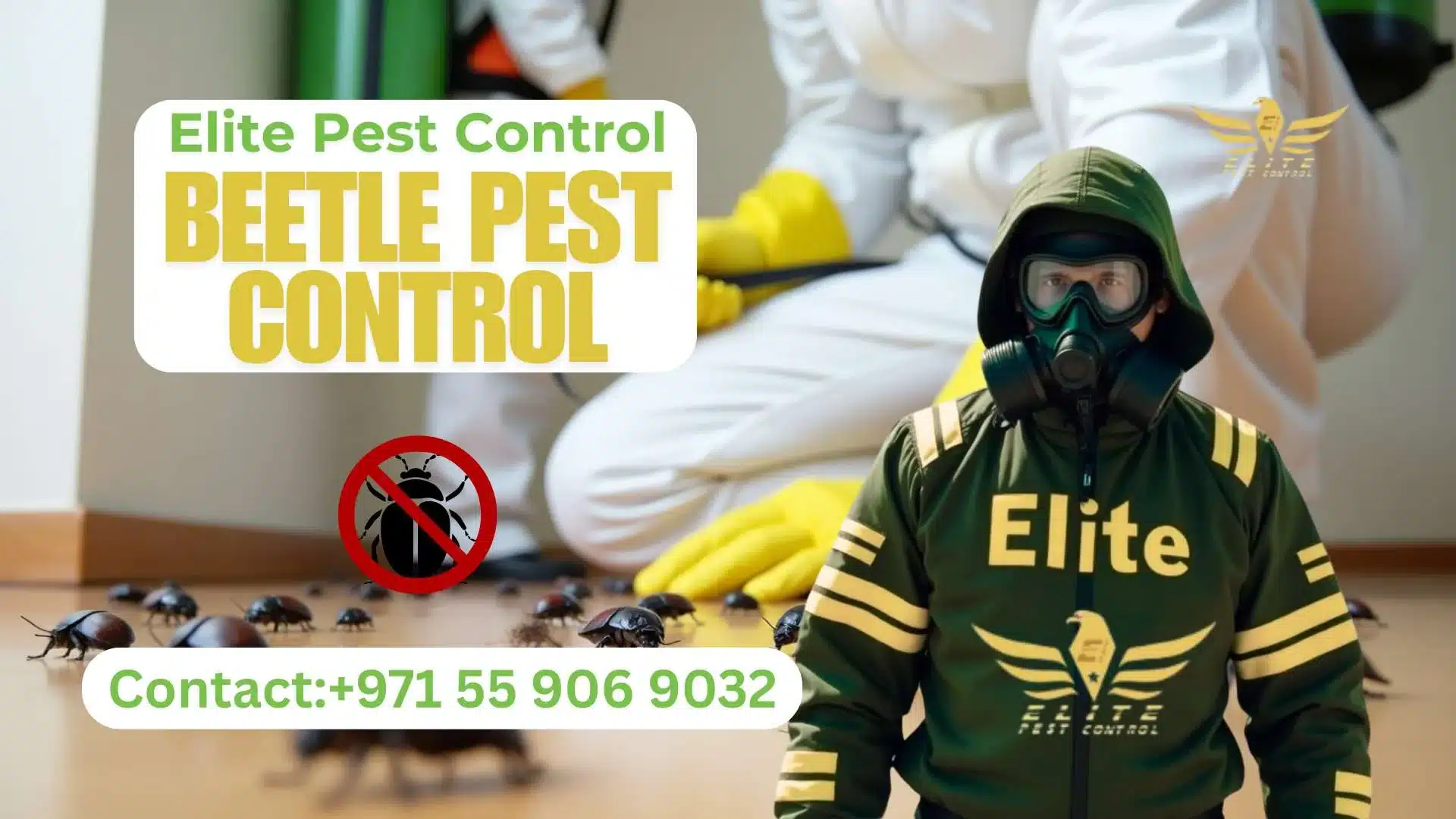 Beetle Pest Control Abu Dhabi