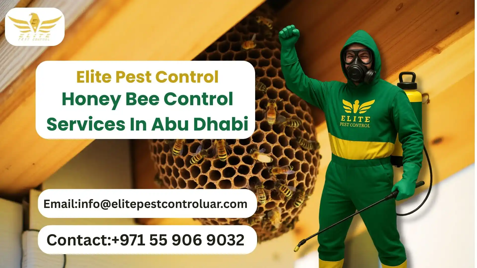 Honey Bee Control Services In Abu Dhabi