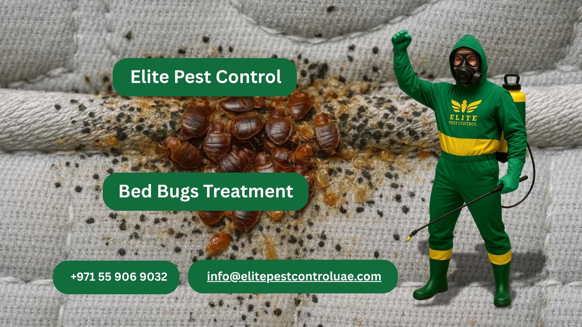 Bed Bugs Treatment علاج بق الفراش