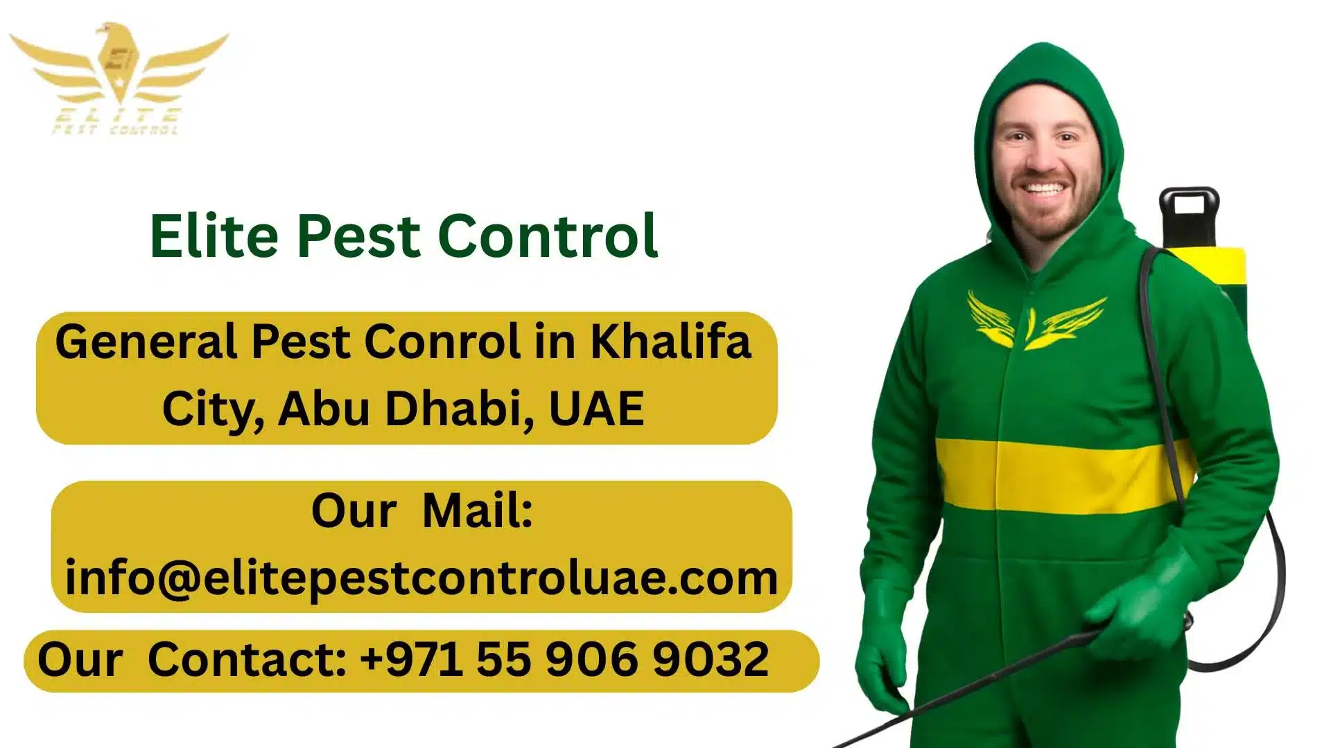 General Pest Control in Khalifa City, Abu Dhabi, UAE.