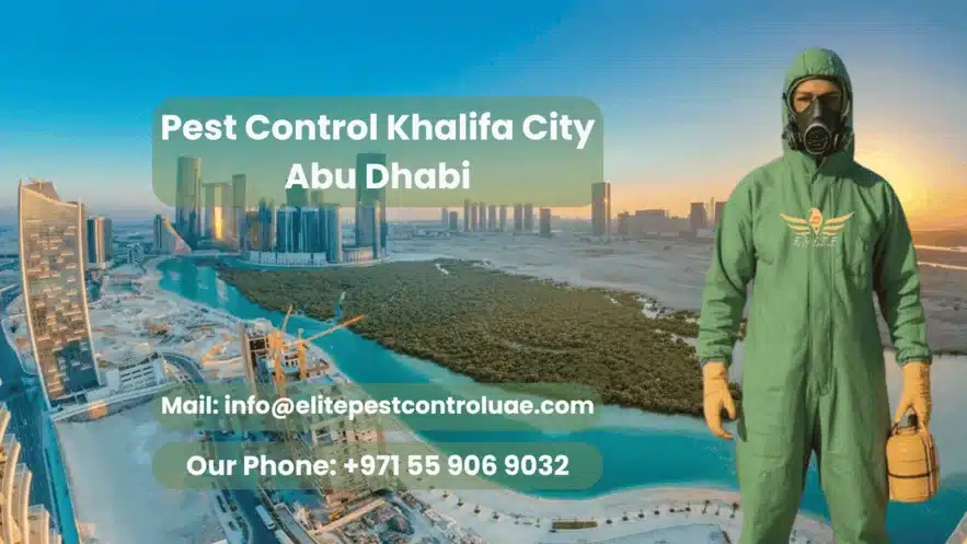 Pest Control Khalifa City Abu Dhabi, Pest Control